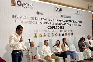 conformacion-copladest12